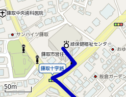緑保健福祉センターから鎌取駅 北口 までの自動車ルート Navitime